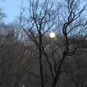 Meet your Posher, Patrick